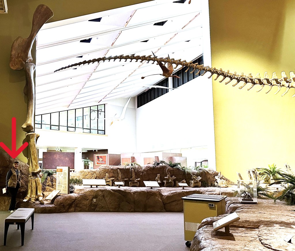 Shelley Carney in the dinosaur exhibit