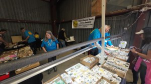 Sierra County Rock and Gem Society show in T or C