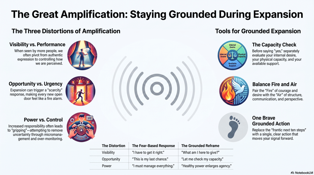 Functional image infographic that represents the information contained in the article.